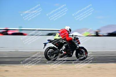 media/Mar-25-2024-Moto Forza (Mon) [[8d4319bd68]]/3-Intermediate Group/Session 4 (Front Straight Speed Pans)/